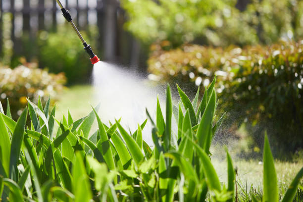 24/7 Emergency Termite Control experts in Dell Rapids, SD