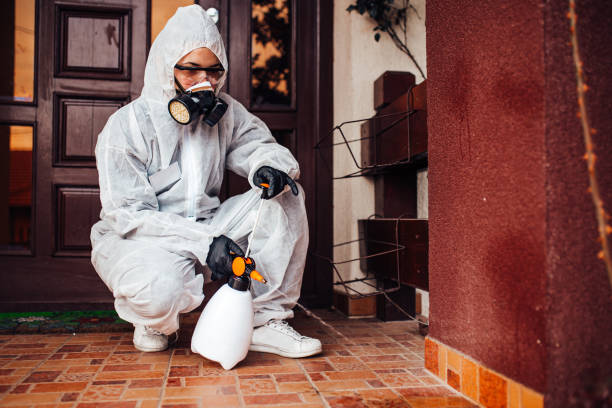 Reliable Termite Control contractor in Dell Rapids, SD by Nex Pest Control